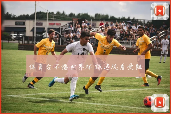 体育台不播世界杯 球迷观看受阻