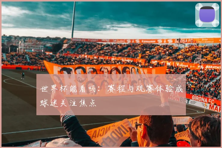 世界杯能看吗：赛程与观赛体验成球迷关注焦点