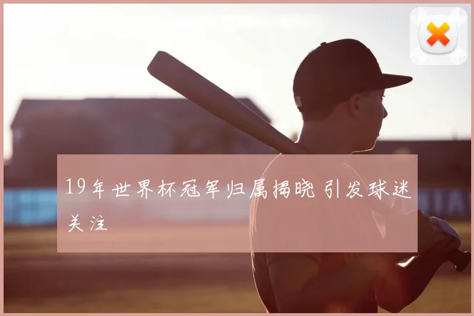 19年世界杯冠军归属揭晓 引发球迷关注