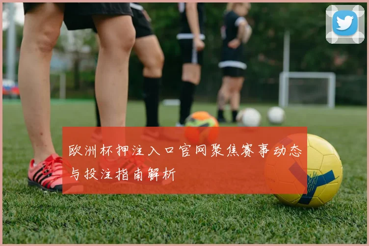欧洲杯押注入口官网聚焦赛事动态与投注指南解析