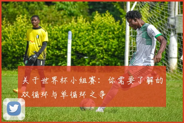 关于世界杯小组赛：你需要了解的双循环与单循环之争